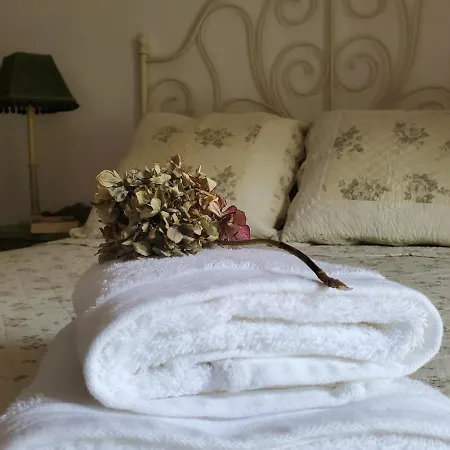 Casa De Valles En Rionansa