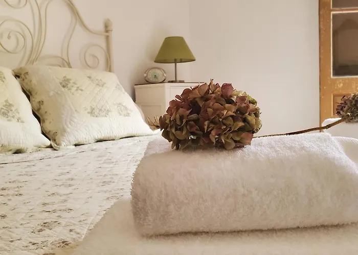 Casa De Valles En Rionansa *